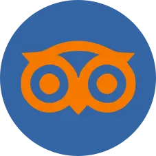 logo google