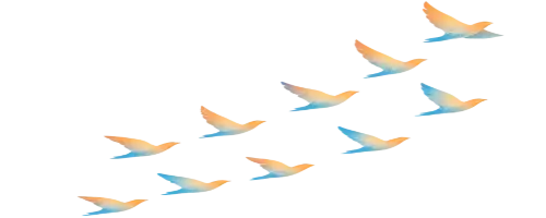 oiseaux qui volent
